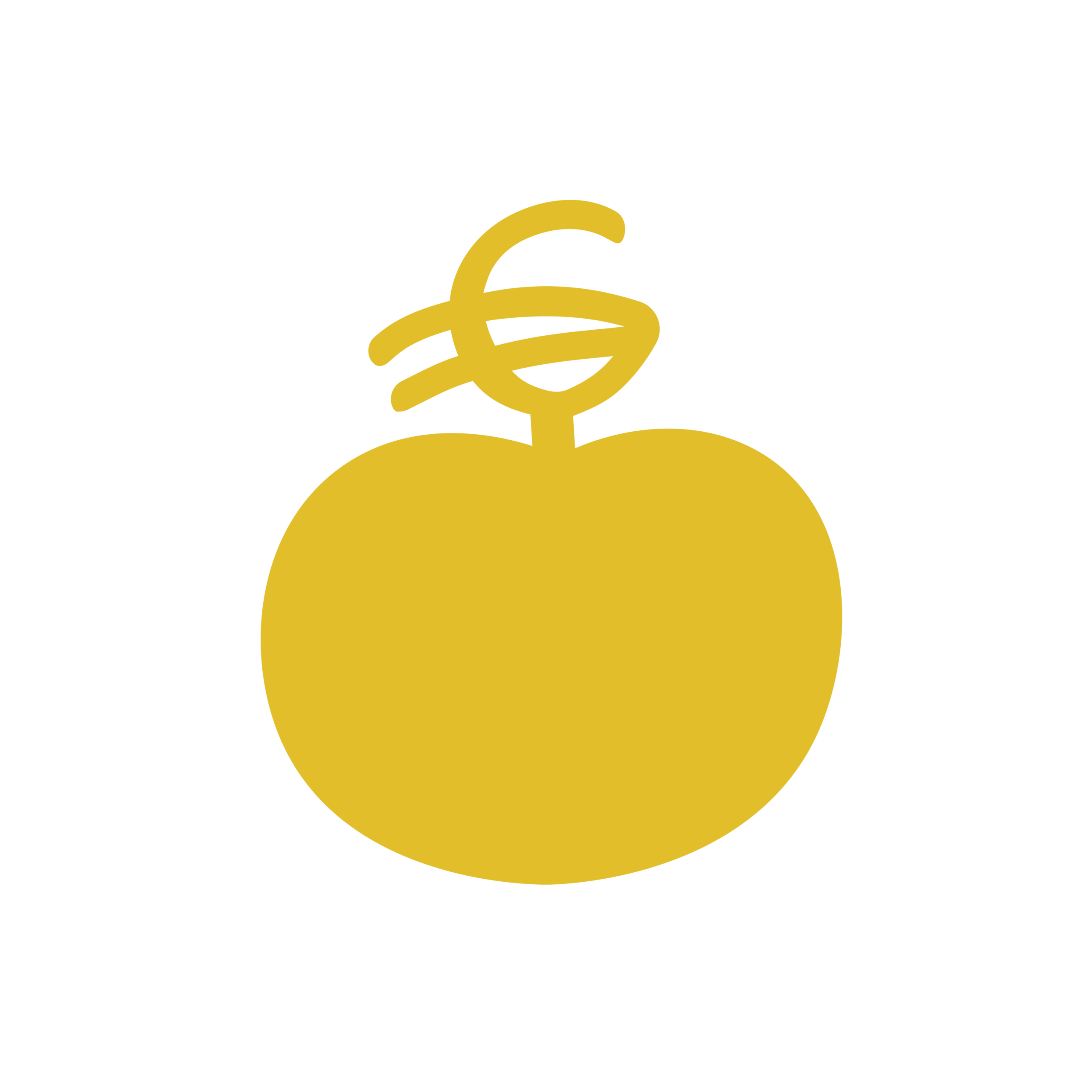 Logo Berry Berry - Gestion de droits d'auteur pour créateurs de contenu